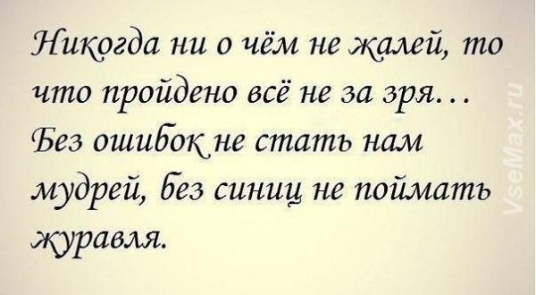 Афоризмы на то о чем жалеешь Афоризмы на то о чем жалеешь