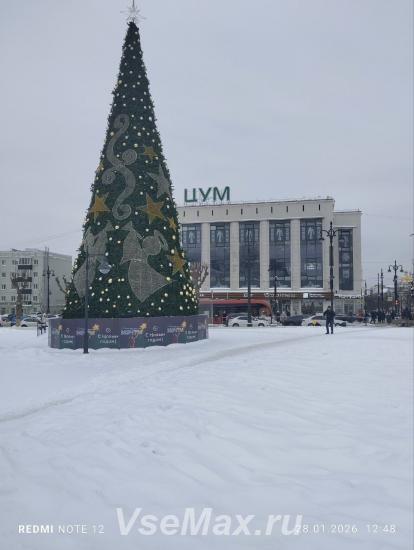 Елку отдам даром. Пермский край, Пермский район, Малые Клестята